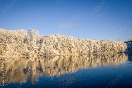 Lake in winter