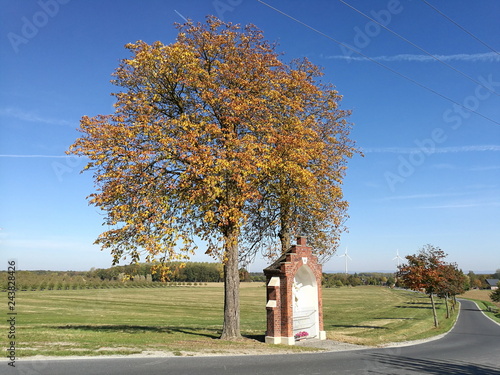 Alter Baum mit Heiligendenkmal an einem Pilgerweg im Sommer vor blauem Himmel im Sonnenschein auf dem Lande in Stromberg bei Oelde im Kreis Warendorf im Münsterland in Westfalen photo