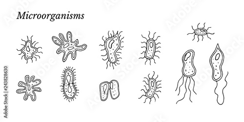 Simple set of bacteria, germs, micro-organisms, viruses, infusoria, body cells, cell division. probiotics and prebiotics