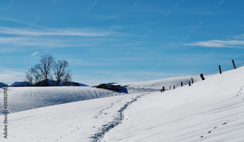 Obraz premium Schneelandschaft