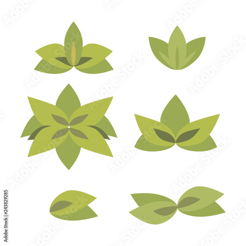 leaves set of colored vector icons isolated on white background