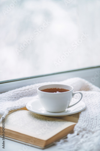 Warm knitted scarf, a cup of hot tea and a book