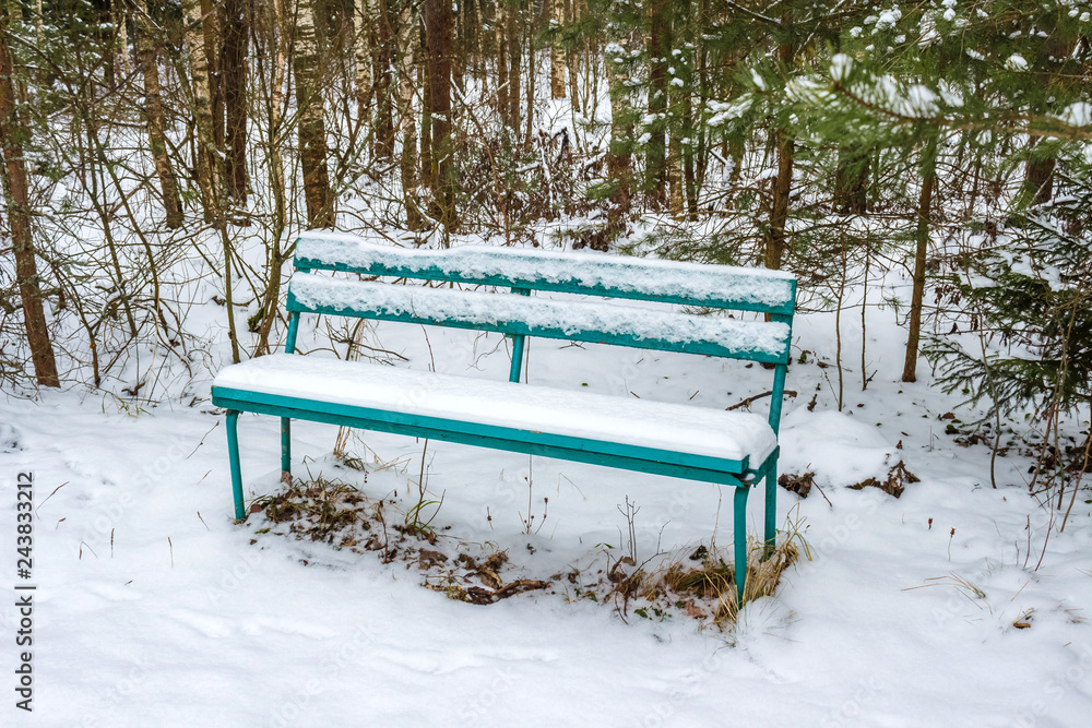 Empty bench in a snow-covered forest in winter Empty bench in a snow-covered forest in winter