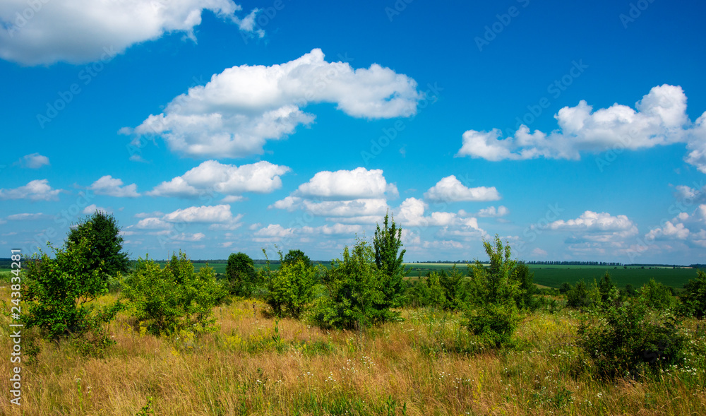 green meadow and blue sky with clouds in summer green meadow and blue sky with clouds in summer