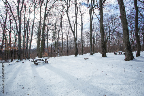 Wintertime, frozen park bench with table in park