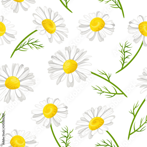 Floral seamless pattern with chamomile flowers, stems and green leaves on white background. Vector illustration in cartoon simple flat style.