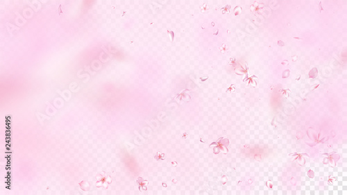 Nice Sakura Blossom Isolated Vector. Spring Falling 3d Petals Wedding Pattern. Japanese Blooming Flowers Wallpaper. Valentine, Mother's Day Tender Nice Sakura Blossom Isolated on Rose