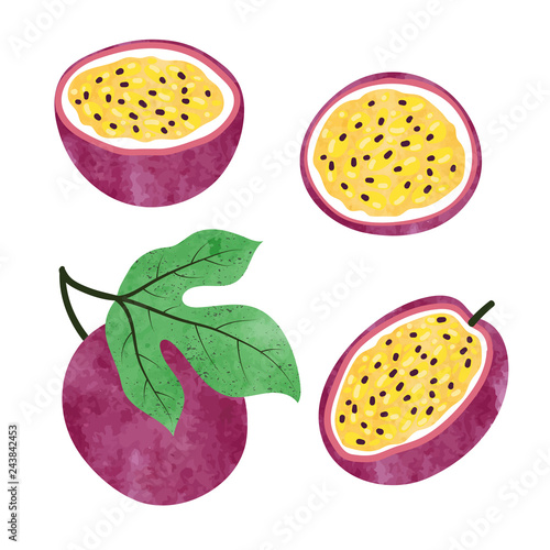 Set of watercolor passion fruit isolated on white. Vector illustration.