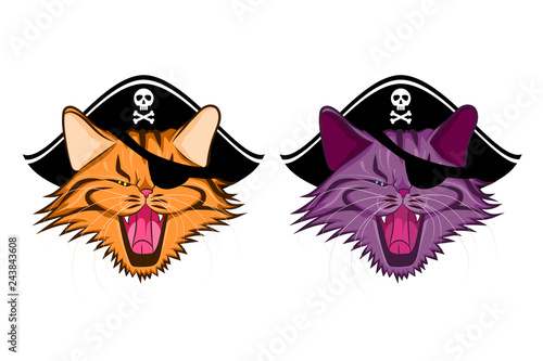 Two faces of pirate cat