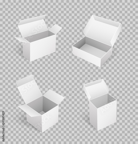 Carton Boxes and Opened Empty Packages Vector