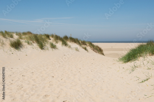 Sand dune with grass an view on the beach and sea on a blue sky on a sunny day