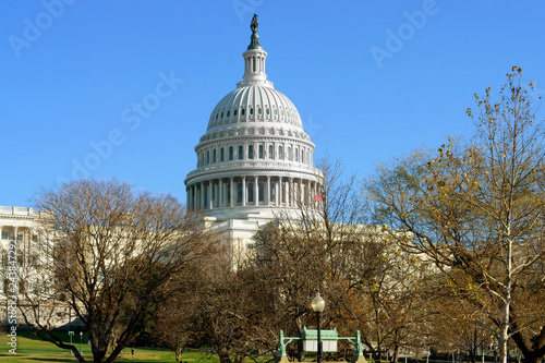 United States Capitol, often called Capitol Building, home of United States Congress and seat of legislative branch of U.S. federal government, in park. Capitol Hill, National Mall, Washington, D.C.