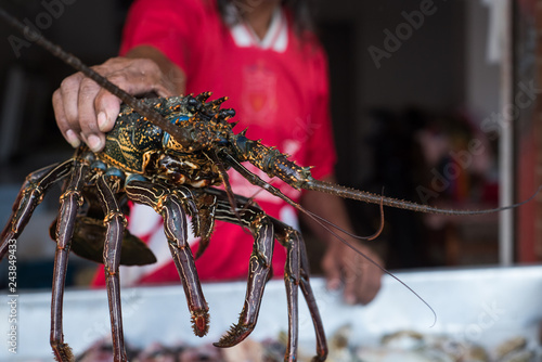 Tropical lobster at Mauritius fish market