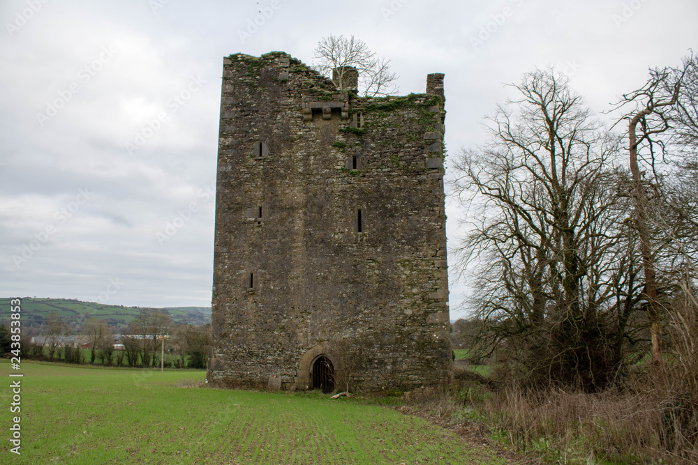 Irish Castle falling to ruin in South West Cork. Medieval marvels, elegant family homes and dramatic ruins, Ireland's remarkable castles are filled with centuries of stories.