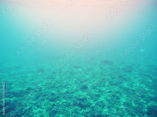 Photo of sea under water, blue lagoon, light of sun from surface © Parilov