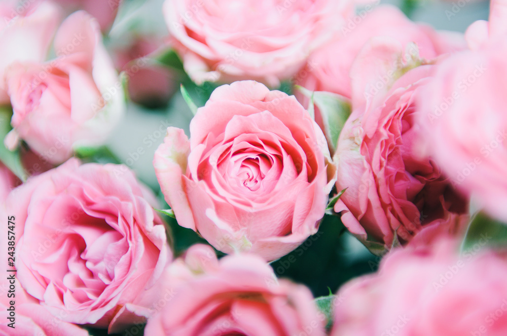 Pink small roses in a bouquet. Floral background Pink small roses in a bouquet. Floral background