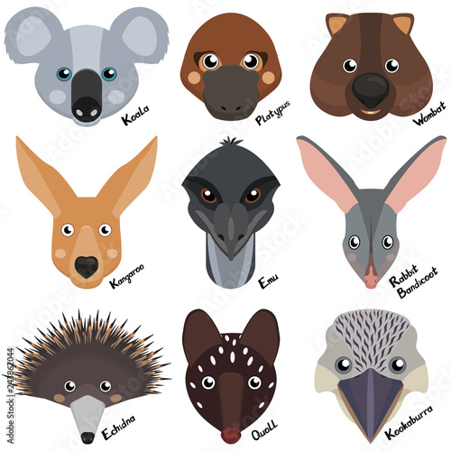 Australian animals, vector issolated collection