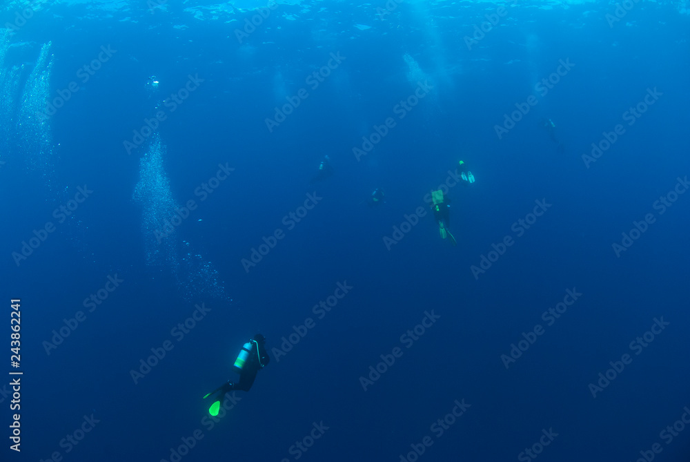 Scuba Divers in clear blue water diving into the deep