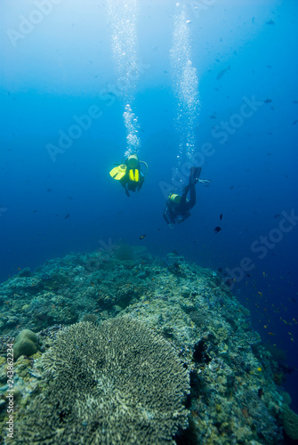 Scuba Divers in clear blue water diving over a reef into the deep