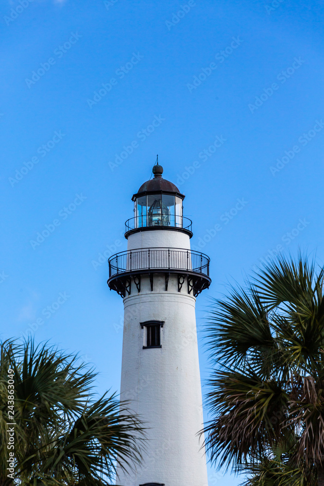 Lighthouse Between Palms