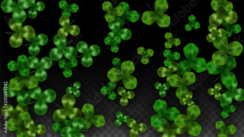Vector Clover Leaf Isolated on Transparent Background with Space for Text. St. Patrick's Day Illustration. Ireland's Lucky Shamrock Poster. Invintation for Concert in Pub. Top View. Success Symbols.