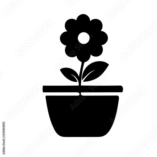 flower pot