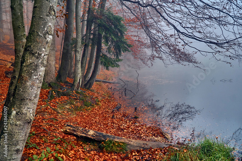 A beautiful mysterious view of Duszatynskie Lakes - two landslide lakes, near the village of Duszatyn, one of the major natural peculiarities of the Bieszczady Mountainson (Poland) in a misty day photo