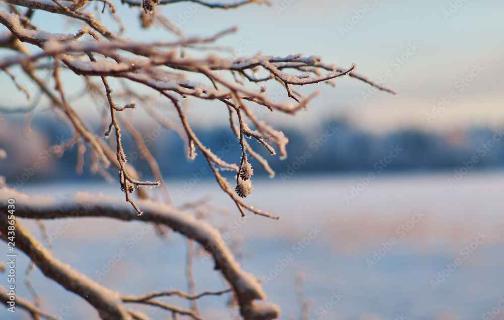 Winter Beautiful Christmas landscape Winter Beautiful Christmas landscape