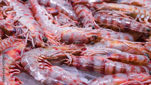 Pink fresh frozen shrimps with ice in a supermarket or fish shop. Uncooked seafood close up background. Fresh frozen prawns, delicacies, sea food concept, close up.