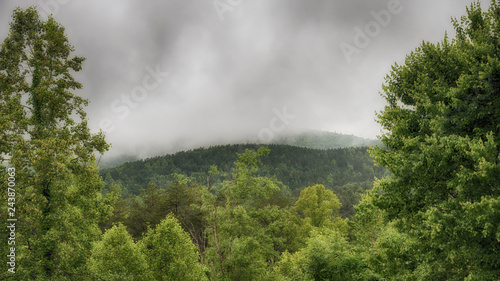 "Living in Clouds" ZDS Blue Ridge Mountains Collection © Zen Duder