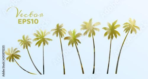 Set of watercolor palm trees . Coconut plant isolated. Vector illustration © kittikorn Ph.
