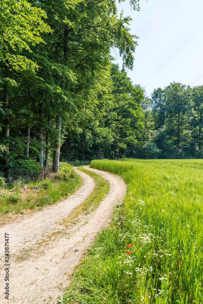 Foto 2018 von www.ChristianSchwier.de Foto 2018 von www.ChristianSchwier.de