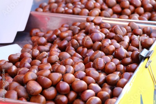 chestnuts seed at street food