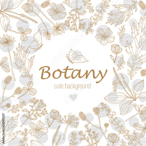 Botany. Vintage gold floral postcard with butterfly. Vector line illustration.
