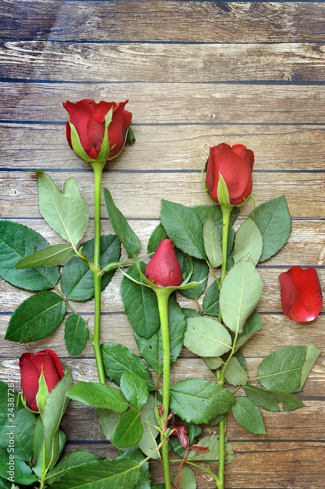 Fresh red roses flower on wooden table