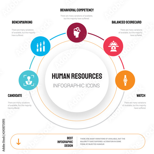 Abstract infographics of human resources template. Candidate, Benchmarking, Behavioral competency icons can be used for workflow layout, diagram, business step options, banner, web design.