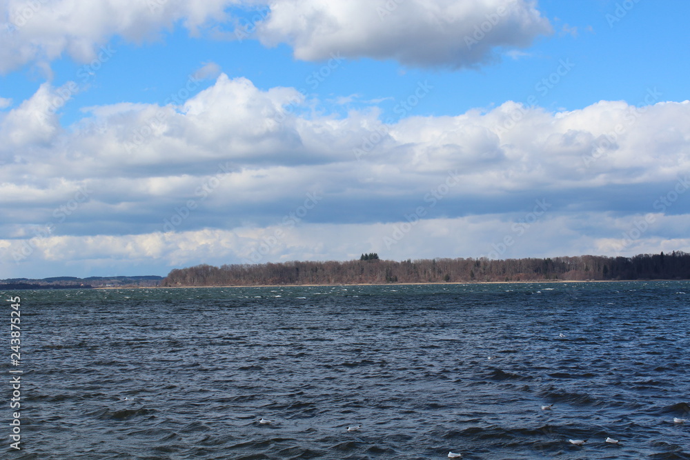 seagulls and ducks. Bird flies over the lake. beautiful landscape, lake, sky with clouds seagulls and ducks. Bird flies over the lake. beautiful landscape, lake, sky with clouds