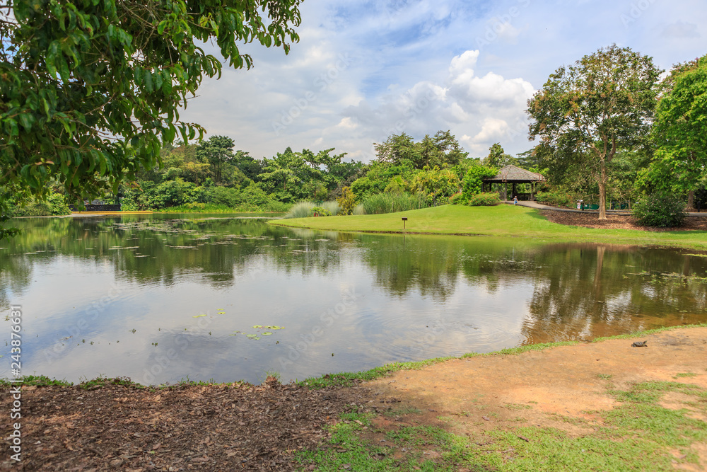 Central Catchment Nature Reserve MacRitchie Central Catchment Nature Reserve MacRitchie