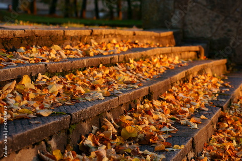 SONY DSC, autumn, steps
