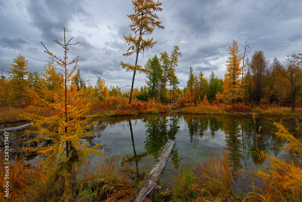 Fototapeta premium Russia. Magadan. The amazing beauty of the autumn of the Far East. The lake Maxi