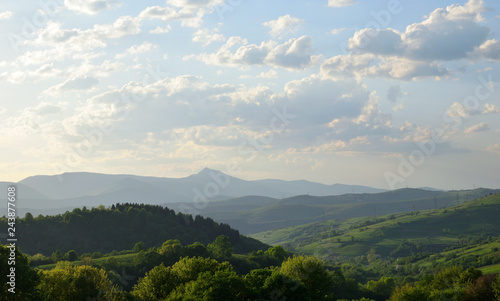 Forest and mountains in the haze. Summer evening in the mountains. © Vladimir