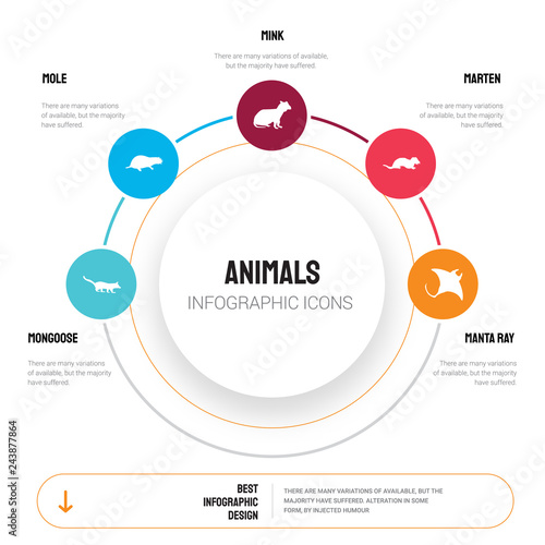 Abstract infographics of animals template. Mongoose, Mole, Mink, Marten, Manta ray icons can be used for workflow layout, diagram, business step options, banner, web design.