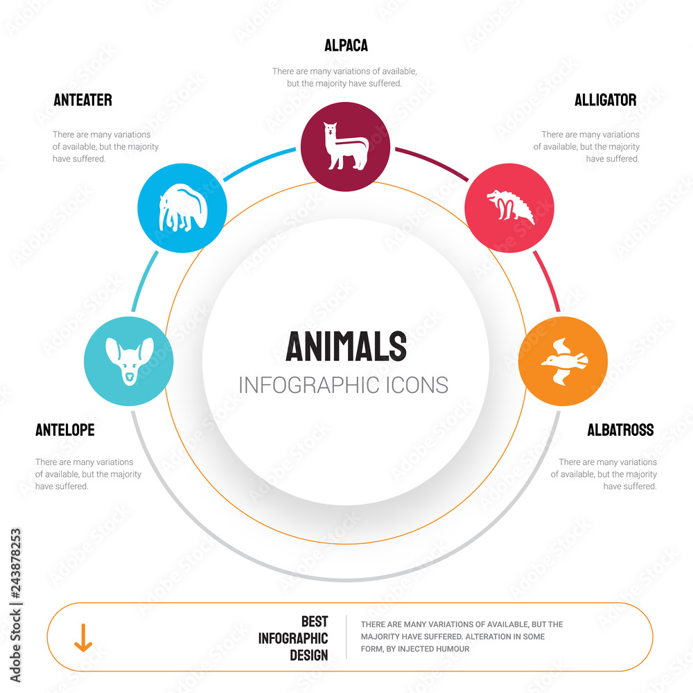 Abstract infographics of animals template. Antelope, Anteater, Alpaca ...