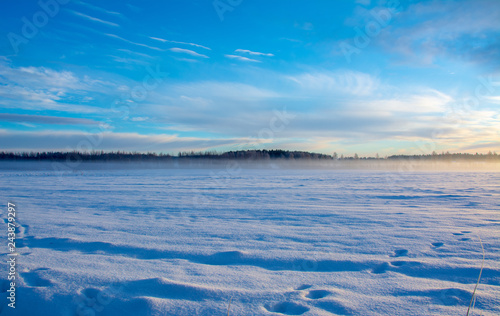 the mist in the winter field