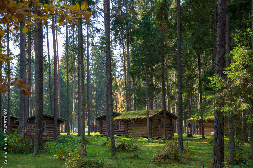 Obraz premium holiday cottages in the wood
