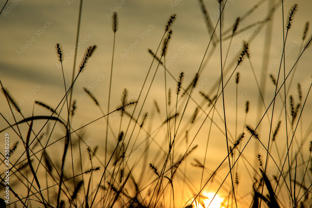 Obraz premium 荒川堤防 344