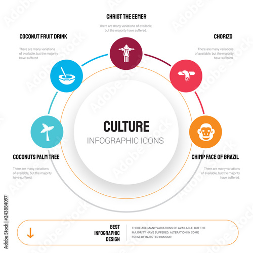 Abstract infographics of culture template. Coconuts palm tree Brazil, Coconut fruit drink with straw icons can be used for workflow layout, diagram, business step options, banner, web design.