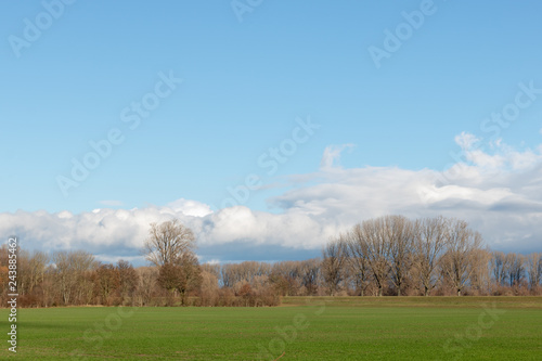 empty fields in winter in countryside. nature in Frankenthal - Germany