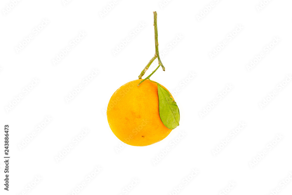 One ripe organic orange fruit with orange leaves isolated on white background