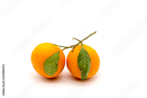 Ripe organic orange fruits with orange leaves isolated on white background